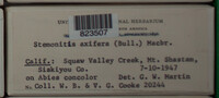 Image Associated With the Occurence